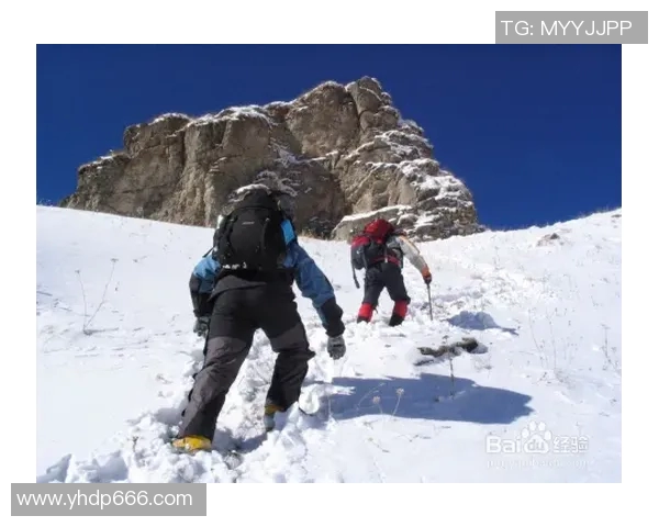 选择合适的登山杖长度对登山体验的重要性与技巧分享